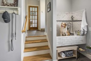 custom dog bath design rhode island