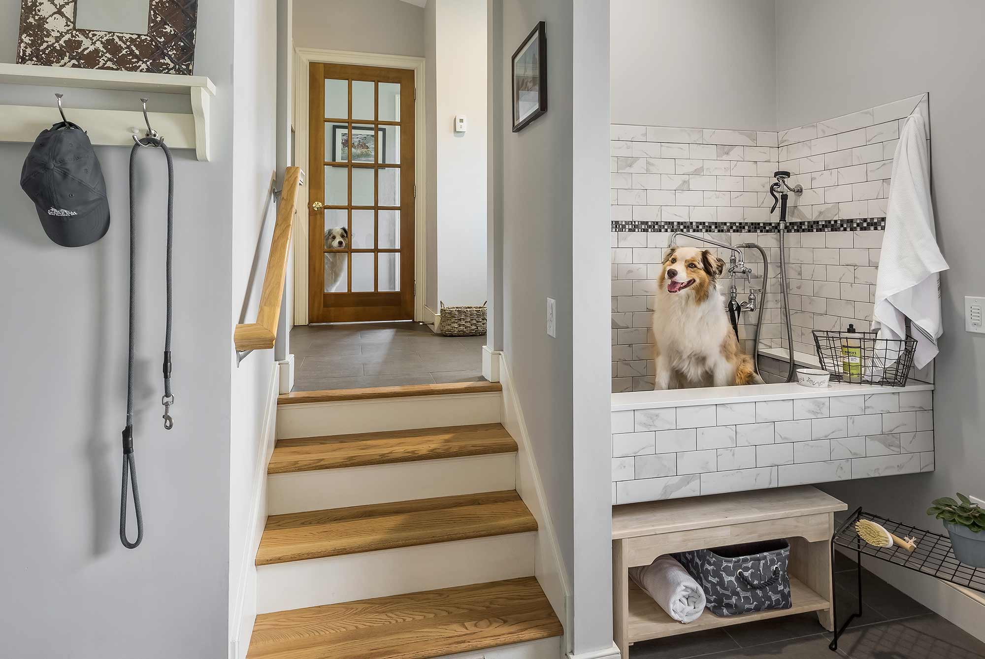 Red House Chapman Home Dog Bath