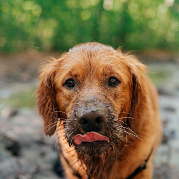 TUZ6738-2-scaled-600x600